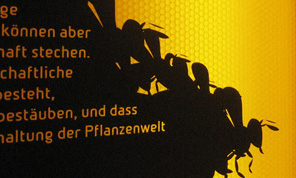 Bienenerlebnis Burgrain