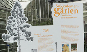Sukkulentengärten – Geschichten einer Faszination
